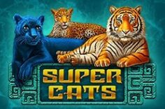 Играть в Super Cats