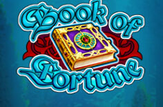 Играть в Book of Fortune