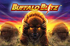 Играть в Buffalo Blitz