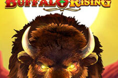 Играть в Buffalo Rising