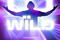 Играть в DJ Wild