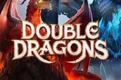 Играть в Double Dragons