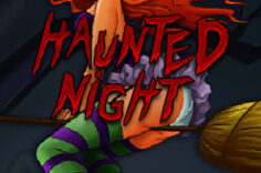 Играть в Haunted Night