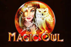 Играть в Magic Owl