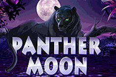 Играть в Panther Moon