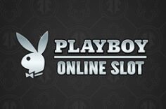 Играть в Playboy