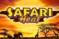 Играть в Safari Heat