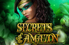 Играть в Secrets of the Amazon