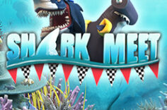 Играть в Shark Meet