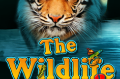 Играть в The Wildlife 2