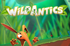Играть в Wild Antics