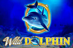 Играть в Wild Dolphin