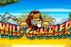 Играть в Wild Gambler