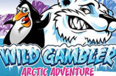 Играть в Wild Gambler Arctic Adventure