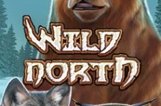 Играть в Wild North