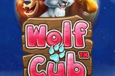 Играть в Wolf Cub
